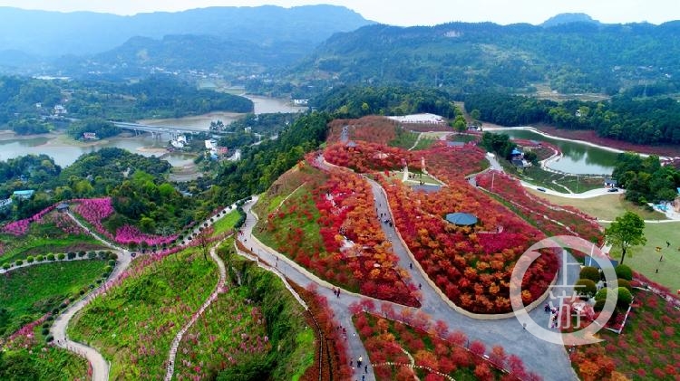 熊力《梦幻南湖七彩山》.jpg