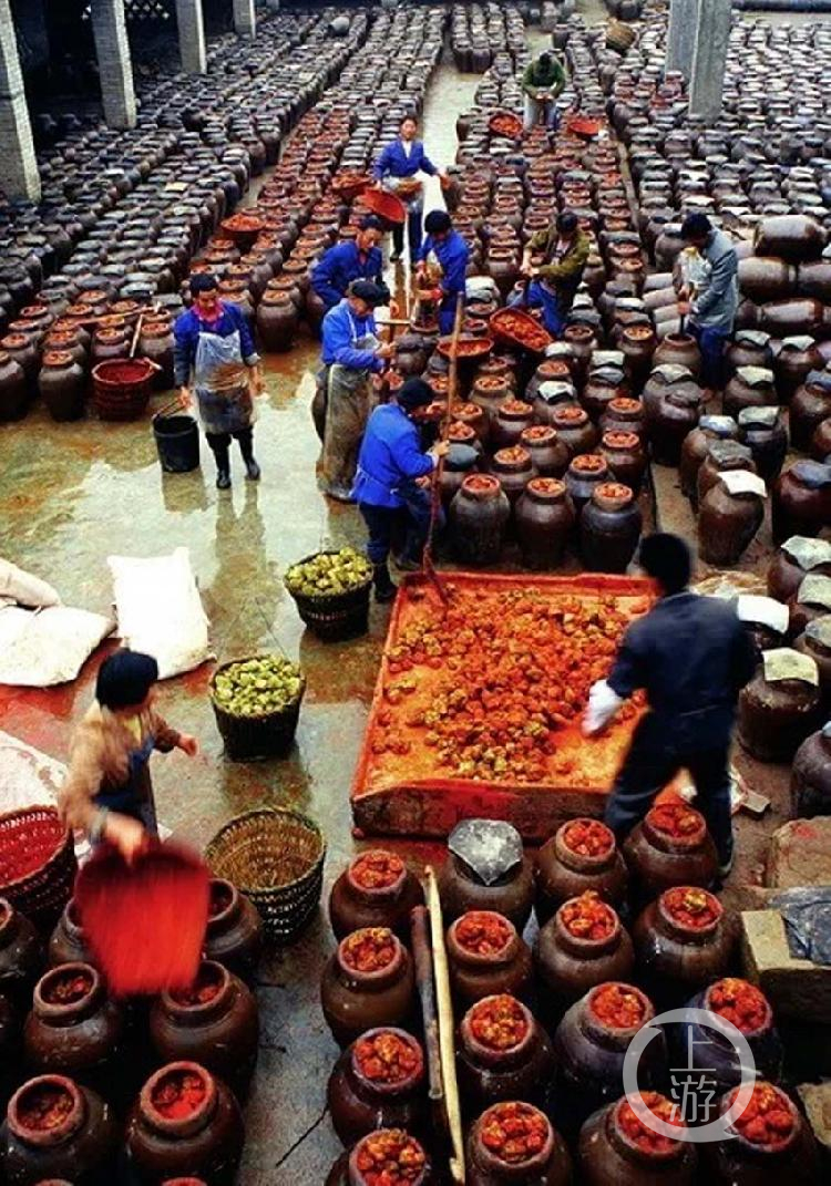 壮丽70年·奋斗新时代 涪陵榨菜的天时地利人和