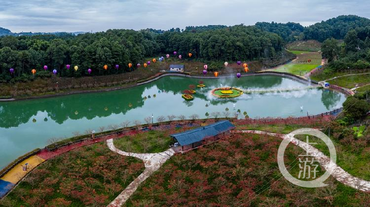 《多彩植物园国庆添彩》组照五 冯亚宏 摄于巴南区南湖多彩植物园