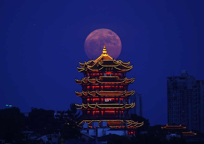 多圖年度最大超級月亮現身夜空