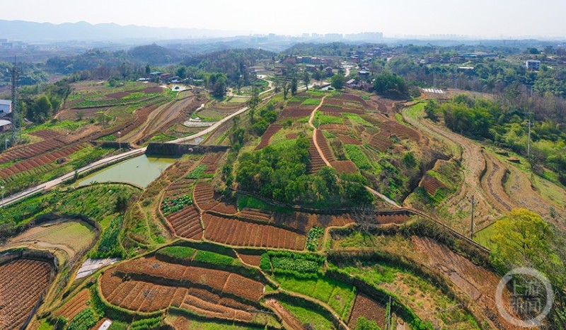 整地工作顺利完成 凤凰镇五福村充满春日生机-上游新闻 汇聚向上的