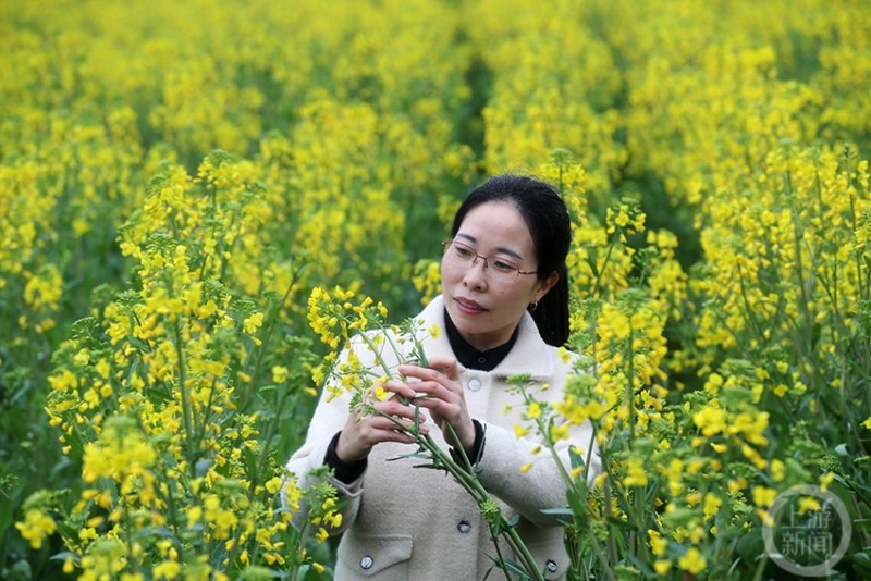 转田坎的女驻村第一书记黄丽霞