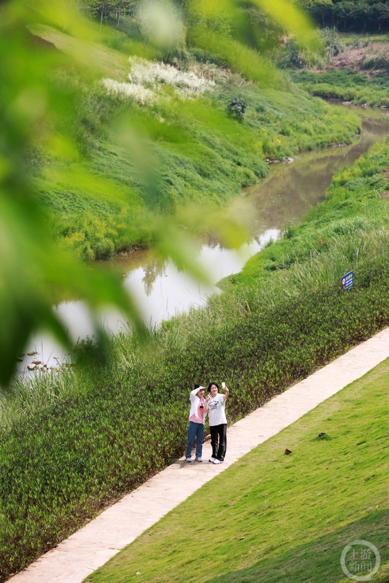 重庆巴南花溪河治理见成效水清景美惹人醉