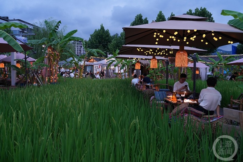 "稻田餐厅"受追捧 释放"夜经济"新活力-上游新闻 汇聚向上的力量