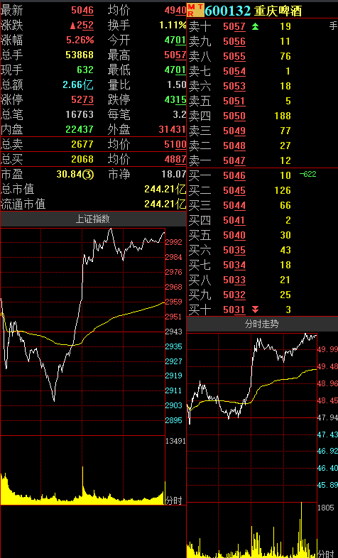 重庆啤酒股票图片
